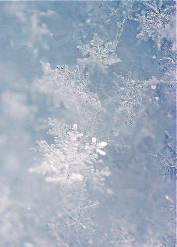 Romeo I Julia, Ice Aesthetic, Holiday Iphone Wallpaper, The Ancient Magus Bride, Christmas Aesthetic Wallpaper, Light Blue Aesthetic, Ice Crystals, Winter Nature, Snow Flakes