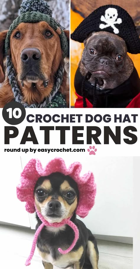 10 Cute Crochet Dog Hat Patterns to Make For Your Pup Crochet Dog Hat Free Pattern, Dogs Outfits, Cute Crochet Dog, Crochet Dog Hat, Crochet Dog Clothes, Puppy Hats, Dog Sweater Crochet Pattern, Dog Beanie, Dog Snood