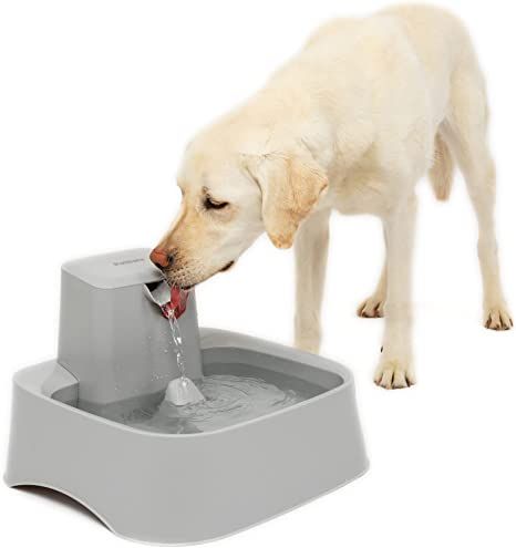 Amazon.com : PetSafe Drinkwell Water Fountain for Cats, Dogs, or Multiple Pets - Automatic Water Bowl - Pump and Water Filter Included - Dishwasher Safe - Easy Clean Pet Dish - Water Dispenser - 2 Gallon/256 Ounce : PetSafe : Pet Supplies Dog Fountain, Dog Water Fountain, Animals And Pet Supplies, Pet Fountain, Dog Gates, Aquatic Pets, Water Stream, Cat Fountain, Dog Water Bowls