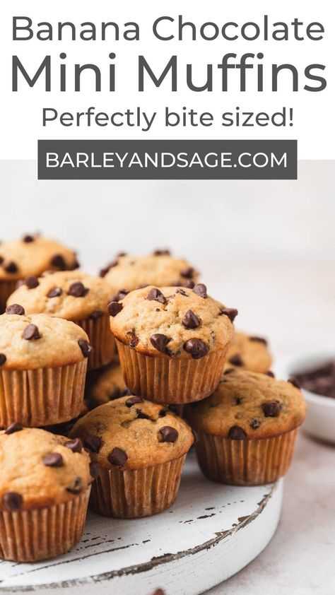 These mini banana chocolate chip muffins are loaded with mashed brown banana and mini chocolate chips! They're the perfect bite-sized breakfast snack! Mini Banana Chocolate Chip Muffins, Banana Chocolate Chip Mini Muffins, Chocolate Chip Mini Muffins, Mini Banana Muffins, Savory Muffins Recipes, Mini Chocolate Chip Muffins, Mini Bananas, Banana Bread Muffins, Breakfast Goodies