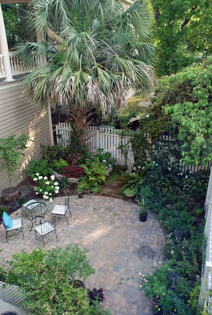 Charleston Gardens, Garden Rock Border, Small Courtyard Gardens, Side Garden, Modern Patio, Garden Photos, Gorgeous Gardens, Courtyard Garden, Backyard Patio Designs