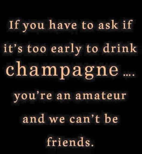 True friends get it! Champagne Quotes, Champagne Campaign, Champagne Taste, Champagne Party, Wine Quotes, A Quote, Mimosa, Great Quotes, Favorite Quotes