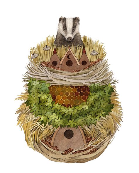 Prints — Polanshek of the Hills Raccoon Print, Chocolate Book, 8x10 Art Prints, Deer Print, Egg Painting, Fox Print, Rabbit Print, Bee Print, Owl Print