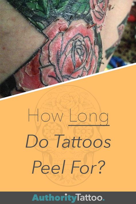 Are you wondering how long your new tattoo is going to keep peeling for? Click the pin to brush up on your tattoo knowledge and put your mind at ease. Tattoo Knowledge, Tattoo Allergy, Tattoo Peeling, Doe Tattoo, Tattoo Healing Process, Tattoo Healing, Tattoo Tips, Healing Tattoo, Red Ink Tattoos