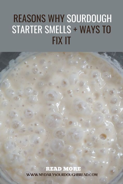 Bread Starters, Easy Sour Dough Starters, Italian Sourdough Starter, Strengthen Sourdough Starter, Sourdough Starter Smells Like Acetone, Active Sourdough Starter Recipes, Is My Sourdough Starter Bad, How To Revive Sourdough Starter From Fridge, How To Know When Sourdough Starter Is Ready To Use