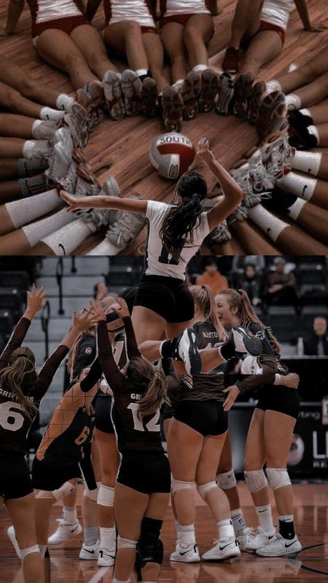 Volleyball Coach Aesthetic, Volleyball Aesthetic Wallpaper, Volleyball Collage, Volleyball Facts, Boys Haircuts Long Hair, Volleyball Images, Volleyball Aesthetic, Volleyball Team Pictures, Volleyball Wallpaper