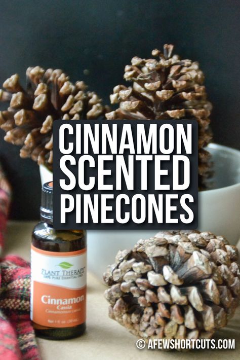 Help your house smell like the holidays and make these quick and easy DIY Cinnamon Scented Pinecones!  They are so easy to make with essential oils! Cinnamon Scented Pinecones, Cinnamon Pinecones, Diy Cinnamon, Scented Pinecones, Pine Cone Art, Christmas Pine Cones, Diy Pinecone, Pine Cone Decorations, Cones Crafts