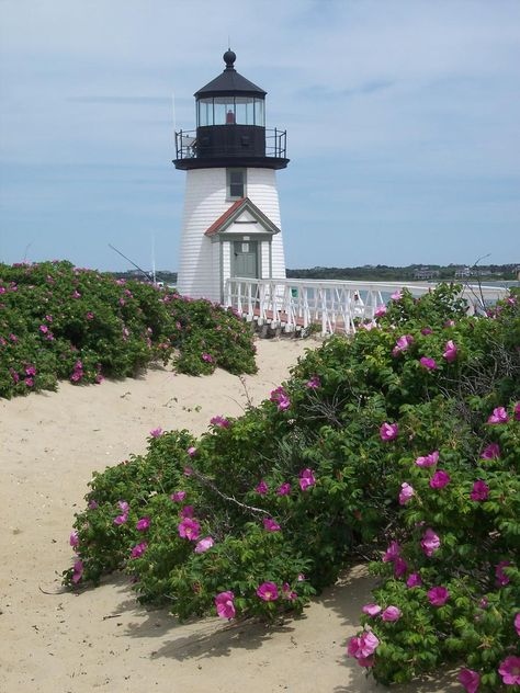 Brant Point Lighthouse, Thought Pictures, Lighthouse Pictures, Nantucket Island, Beautiful Lighthouse, Marthas Vineyard, Light House, Nantucket, Cape Cod