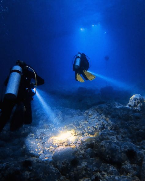 Diving into the Night: Have you experienced a night dive yet? 🤿🔦 It always feels like we’re in outer space 🪐 another world. Beneath the moonlit waves, the reef comes alive with nocturnal wonders. From vibrant corals to elusive creatures, the darkness reveals a hidden world teeming with activity. Many marine species, like octopuses and some types of fish, are more active at night, utilizing their keen senses to hunt and navigate in the dark waters. Log your night dives on the app— link... Marine Species, The Reef, Types Of Fish, Into The Night, Ocean Views, The Darkness, Another World, Outer Space, Ocean View