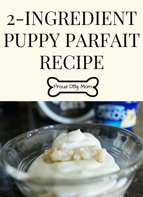 Your Dog Will Love This Easy-To-Make 2-Ingredient Puppy Parfait For Breakfast! | DIY Dog Treats | DIY Dog Food | Homemade Dog Breakfast, Dog Breakfast Ideas, Dog Pantry, Homemade Dog Food For Gsd, Dog Breakfast Recipes, Dog Treat Mix In A Jar, Homemade Dog Food For Great Danes, Homemade Kibble Dog Food, Dog Treats Diy