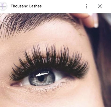 Doll Eye Lash, Applying Lash Extensions, Types Of Maps, Super Long Lashes, Types Of Eyelash Extensions, Lash Map, Lash Mapping, Lashes Fake Eyelashes, Velour Lashes