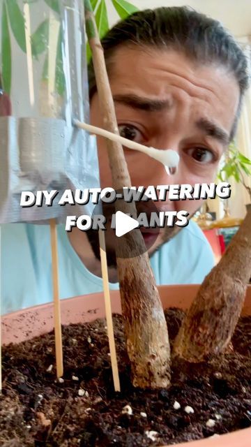 DIY Auto-Watering using a plastic bottle and some sticks! 🤩🌱 This thing is amazing, works better than the first version I made! 
.
.
.
.... | Instagram Auto Plant Watering Diy, Self Watering Bottle Diy, Diy Plant Self Waterer, Water Bottle Plant Waterer, Plant Water Dripper Diy, Wine Bottle Self Watering Planter Diy, Diy Plant Waterer Plastic Bottles, How To Recycle Plastic Bottles, Watering Plants Diy