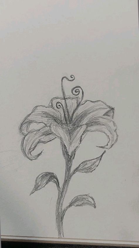 Landscape Art Pencil Sketch, Pretty Sketches Aesthetic, Aphrodite Drawing Sketch, Flower Sketches Simple Pencil, East Sketches, Drawing Sketches Flowers, Sketchbook Ideas Flowers, Flower Pencil Sketches, Flower Sketches Easy