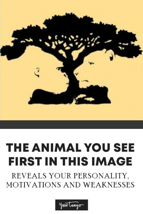 Optical Illusion Personality Test Reveals Your Hidden Personality Traits | YourTango #personality Illusion Test, Personality Type Quiz, Optical Illusions Pictures, Community Service Ideas, Knowing Yourself, Medical Words, Brain Test, Illusion Pictures, Hidden Images