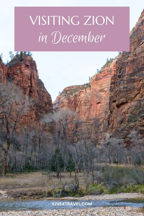 Are you considering a trip to visit Zion National Park in December? This guide has everything you need for visiting Zion National Park during this winter month. From things to do in Zion in December to the Zion December weather you can expect to where to stay when visiting Zion and what to wear in Zion National Park. Zion In Winter, State Parks Usa, December Weather, Narrows Zion National Park, Hiking The Narrows, Utah Vacation, South America Destinations, Utah Road Trip, Zion National Park Utah