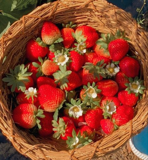 Red Cottage Core Aesthetic, Cottagecore Aesthetic Strawberry, Cottagecore Strawberry Aesthetic, Strawberry Bush Aesthetic, Ruby Core Aesthetics, Tallulah Core, Strawberry Cottagecore Aesthetic, Red Cottagecore Aesthetic, Strawberry Aesthetic Icon