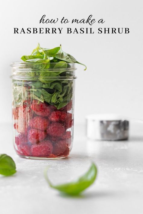 This sparkling shrub cocktail recipe is made with a sweet tart raspberry syrup that is balanced with bubbles and fragrant basil. There’s a touch of white balsamic for complexity and freshness. Learn how to make this refreshing summer drink! Shrubs For Cocktails, Raspberry Basil Cocktail, Shrub Cocktail Recipes, Raspberry Shrub Recipe, Shrub Cocktails, Botanical Recipes, Fruit Shrubs, Shrub Drink, Tart Raspberry