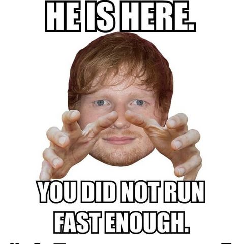 Ed Shiran, Ed Sheeran Memes, Ed Sheeran Facts, Run Fast, Funny Profile, Very Funny Pictures, Funny Profile Pictures, Real Funny Jokes, Funny Reaction Pictures