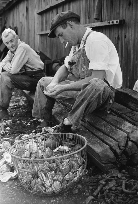 Catholic Gentleman, Shucking Oysters, All Falls Down, Dark Places, Vintage Photography, Go Outside, Vintage Photos, New Jersey, Nautical