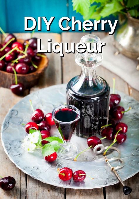 Cherry Liqueur Recipe, Cherry Mead Recipe, Cherry Pits Use, Bourbon Infusions, Luxardo Cherries, Infused Alcohol Recipes, Homemade Liqueur Recipes, Homemade Liqueur, Flavored Alcohol