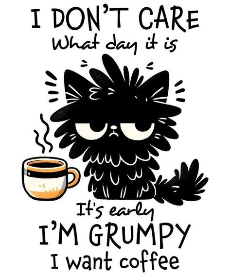 Coffee Lover Humor, Coffee Meme, Cute Animal Quotes, Funny Coffee Quotes, Funny Today, Trend Quote, Good Morning Funny, Need Coffee, Masters Degree