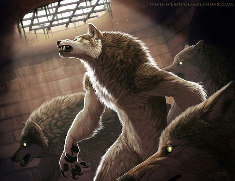 Werewolves Cryptic Creatures, Werewolf Pack, Watt Pad, Wolf Warrior, Werewolf Art, Vampires And Werewolves, Arte Robot, Anime Wolf, Wolf Art