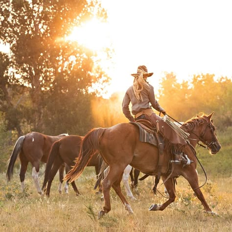 “Your dreams are on the other side of your grit.” #WesternWednesday 📷️: Terri Cage Photography #westernlifetoday #westernlife #ranchlife #cowboylife #cowgirllife Western Aesthetics, Vintage Western Aesthetic, Western Horse Riding, Western Trail, Old West Photos, Rodeo Horses, Western Life, Western Riding, Equine Photographer