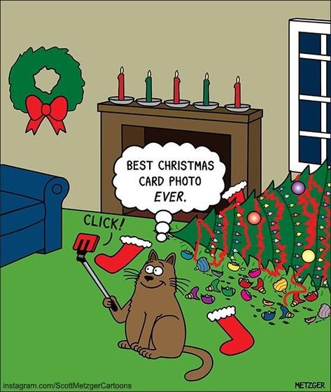 Scott Metzger cartoons Quotes Christmas Funny, Christmas Cat Memes, Christmas Comics, Quotes Christmas, Cat Jokes, Christmas Jokes, Cat Comics, Funny Kitty, Christmas Funny