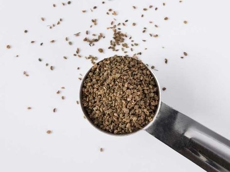 6 Surprising Benefits of Celery Seeds Celery Seed Benefits, Celery Seed Recipes, Antioxidant Foods, Seed Benefits, Celery Plant, Seeds Benefits, Post Workout Smoothie, Workout Smoothies, Plants Growing