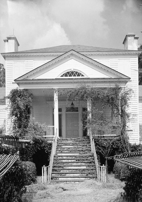 Santee South Carolina, Southern Antebellum Homes, Old Southern Plantations, Abandoned Plantations, Antebellum South, House Of Horrors, Edisto Island, Middleton Place, Southern Plantations