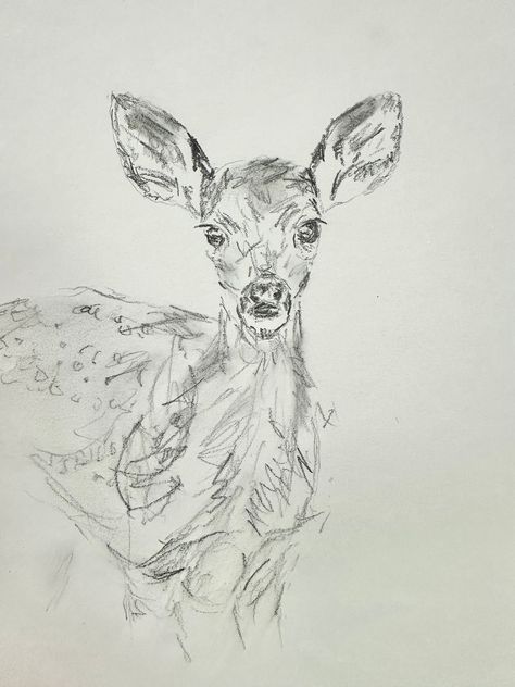 Original pencil drawing print of baby deer. Minimalist, vintage nursery art. Sketching Of Animals, Dear Sketch Drawings, Deer Tail Drawing, Deer Sketch Simple, Christmas Themed Drawings, Cute Sketch Book Ideas, Vintage Aesthetic Drawings, Deer Drawing Simple, How To Draw A Deer