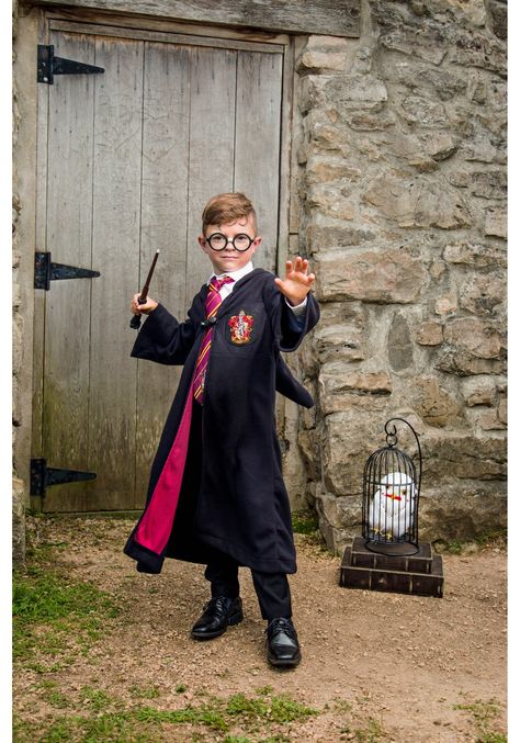 Disfraz Harry Potter, Harry Potter Gryffindor Robe, Party Outfit Plus Size, Adult Halloween Party Decorations, Harry Potter Halloween Costumes, Harry Potter Kids, Diy Costumes Kids, Diy Halloween Costumes For Kids