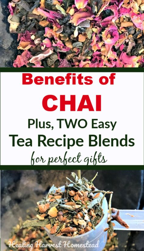 Healthy chai tea is warming and healthy, especially during these cold winter months. Here are my two favorite Chai Tea Recipe blends: Green Tea Chai and Rosy Chocolate Chai. They’re perfect for gift giving, and have tons of health benefits. These are easy to make gifts or make for yourself! Create tea blends & package them up for perfect homemade holiday gifts! #chai #tea #greentea #healthbenefits #roses #chocolatetea #rosetea #howtomake #giftidea #teagift #healingharvesthomestead Home Made Chai Tea, Herbal Chai Tea Recipe, Homemade Chai Tea Mix Recipes, Chai Tea Spice Blend, Chai Tea Diy Spice Mixes, Herbal Lollipop Recipe, Spicy Tea, Tea Blends Recipes, Chai Tea Recipe