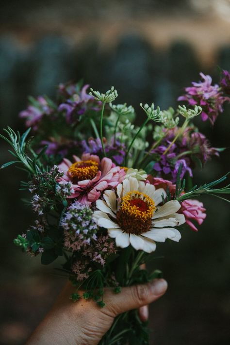 Penny Kingan - Forest Finders. Flower bouquet from the garden Everyday Magic, Cottage Rose, Farm Lifestyle, Floral Alphabet, Wonderful Flowers, Garden Photography, Freshly Picked, Garden Path, Floral Inspiration