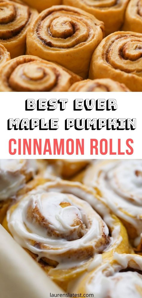 Best Pumpkin Cinnamon Rolls, Pumpkin Cinnamon Roll Recipe, Pumpkin Cinammon Rolls Recipes, Pumpkin Apple Cinnamon Rolls, Pumpkin Sweet Rolls, Pumpkin Cinammon Rolls, Overnight Pumpkin Cinnamon Rolls, Pumpkin Cimmamon Rolls, Pumpkin Maple Cinnamon Rolls