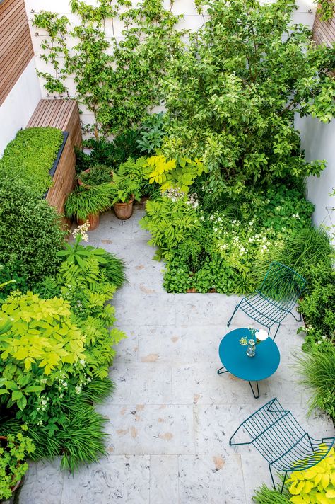 Landscape Garden Ideas, Courtyard Garden Design, Garden Hack, Garden Furniture Ideas, Courtyard Landscape, Gardening Pots, Tattoo Plant, Small Courtyard Gardens, Neutral Fall Decor