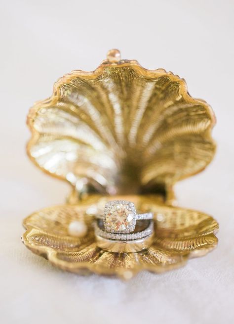 Unique Ring Holder, Engagement Ring Photography, Engagement Ring Holders, Vintage Ring Box, Ring Photography, Yellow Diamonds Engagement, Yellow Diamond Engagement Ring, Engagement Ring Box, Shell Ring