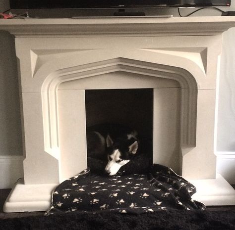 Dog bed ideas - unusable fireplace made into a lovely little hide away for any sized dog, just filled with pillows and blankets Fireplace Cat Bed, Dog Bed In Fireplace, Fireplace Dog Bed, Empty Fireplace Ideas, Dog Nook, Dog Cave, Dog Den, Vintage Crate, Yellow Room