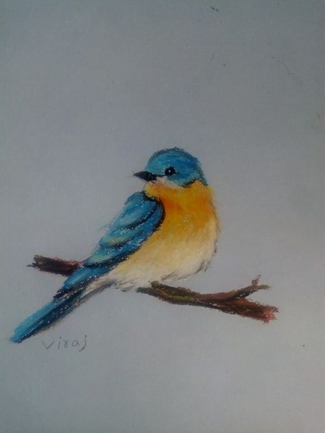 Soft Pastel Bird Drawing, Blue Bird Drawing Easy, Oil Pastel Bird, Birds Decor, Easy Bird, Painting Stuff, Oil Pastels Painting, Dry Pastel, Oil Pastel Drawings