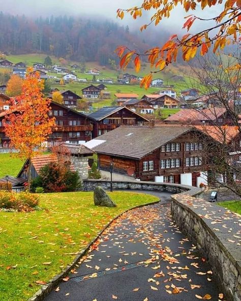 Autumn Switzerland, Switzerland Fall, Switzerland Autumn, Natural Hair Bride, Alpine Village, Natural Playground, Places In Europe, Peaceful Places, Historical Place