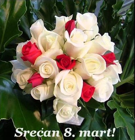 Srecan 8.mart Srecan 8 Mart, Good Morning Hd, Red And White Wedding, Red And White Weddings, 8. Mart, 8 Mart, Halloween Makeup Scary, Colorful Bouquet, Good Morning Photos