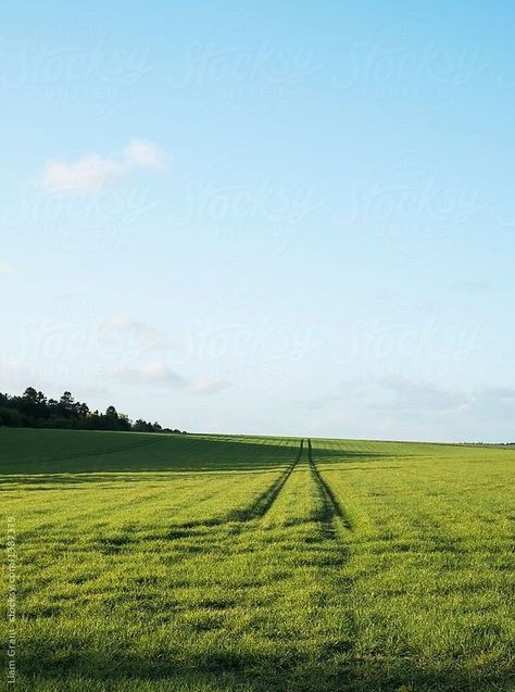 Land Pictures, Land Aesthetic, Green Land, Green Field, Evening Light, Nature Aesthetic, Pretty Places, Green Aesthetic, Nature Travel