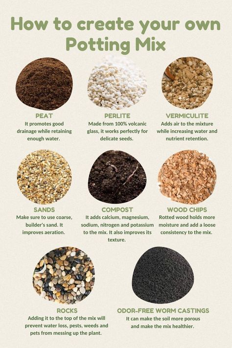 Garden Soil Mix, Good Health Tips, Healthy Eating Tips, Garden Soil, Plant Mom, Potting Soil, Succulents Garden, Growing Plants, Wellness Tips