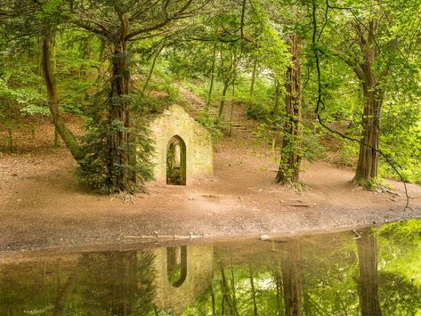 ‘Least stressful spot in England’ is Shropshire’s newest Local Nature Reserve | Shropshire Star Natural Heritage, Old Buildings, Nature Reserve, England, History, Books, Old Building, Nature