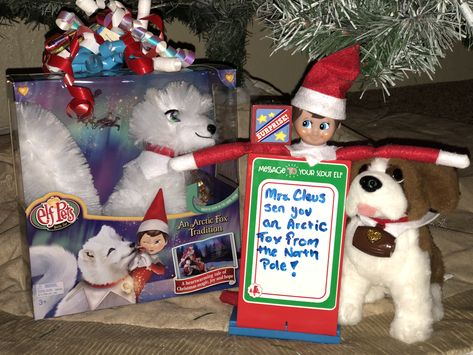 Elf On Shelf Pet Ideas, Elf On The Shelf And Artic Fox Ideas, Artic Fox Elf Pet Ideas, Elf On The Shelf Arctic Fox Ideas, Elf Pets Ideas, Elf On Shelf Pet Arrival, Elf Pets Arrival, Artic Fox Elf Pet Arrival, Elf On The Shelf Pets