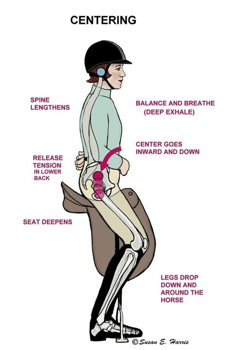 Horseback Riding Tips English, Horse Riding Tips English, Equestrian Tips, Horseback Riding Tips, Horseback Riding Lessons, Horse Lessons, Riding Tips, Horse Exercises, Filmy Vintage