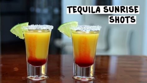 Tequila Sunrise Shot - Tipsy Bartender Tequila Birthday, Bartending Ideas, Tequila Orange Juice, Fruity Shots, Tequila Drinks Easy, Tequila Mix, Frozen Beer, Shooter Recipes, Alcohol Beverages