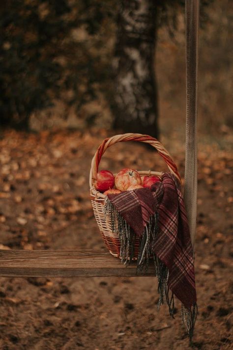 Apple Orchard Photography, Fall Wallpaper Ideas, Harvest Wallpaper, First Day Of Autumn, Backgrounds For Your Phone, Best Wallpaper Hd, Apple Baskets, Harvest Basket, Autumn Magic