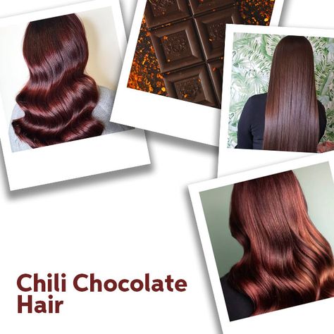 Chili Chocolate Hair Color Formulas | Wella Professionals Chocolate Chili Hair, Red Chocolate Hair Color Formula, Chocolate Copper Hair Formula, Wella Color Formulas Brown, Chocolate Brown Hair Formula, Wella Color Touch Formulas, Hair Color Formulas Wella, Brown Hair Levels, Wella Colour Chart