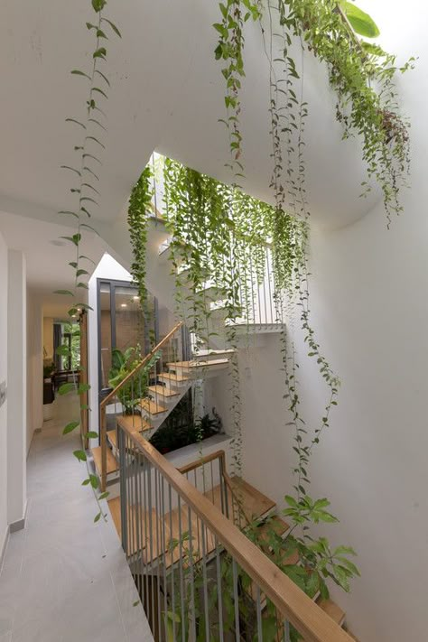 VY ANH House / Khuon Studio | ArchDaily Home With Earth Tones, Planty House Exterior, Enchanted Greenhouse, Insane Houses, House Net, Plant House, نباتات منزلية, Plant Home, Aesthetic Rooms